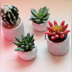 Cuuuuute Succulent Planter Set - Green and Red